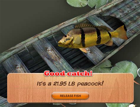 fish hooks games|hooked monster fishing games free.